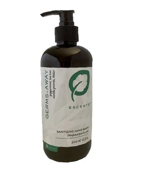 Germs-Away Peppermint Sanitizing Hand Wash