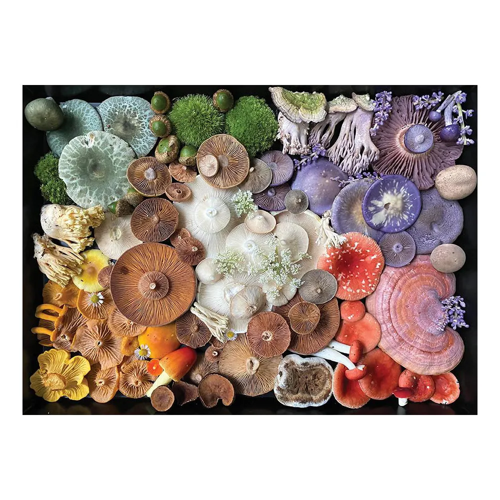 Mushroom Medley